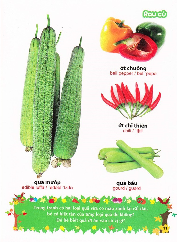 Sách: Từ Điển Tranh Về Rau - Củ - Quả - Hoa B55