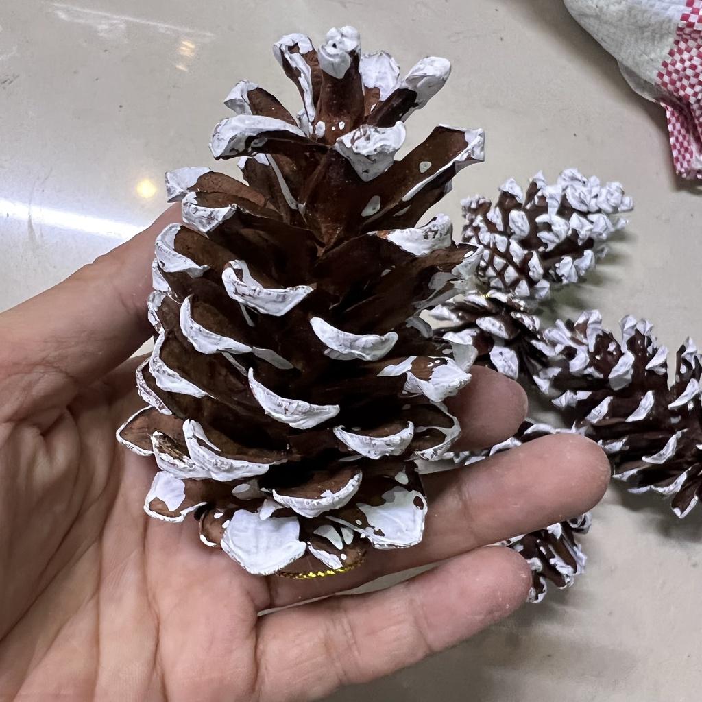 Sỉ 1kg 70 quả thông phủ tuyết decor trang trí Noel làm vòng nguyệt quế Giáng sinh