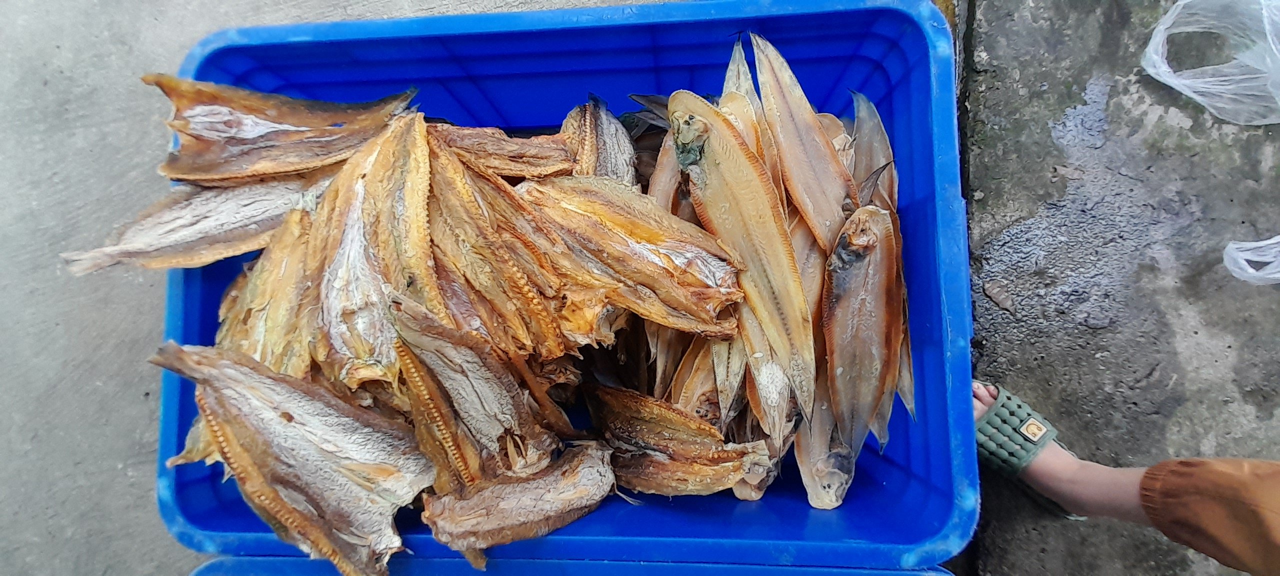 Khô Cá Mối
