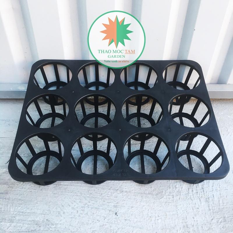 Khay đựng chậu 12 lỗ tròn – Đựng chậu trồng cây, ươm cây giống, hoa lan