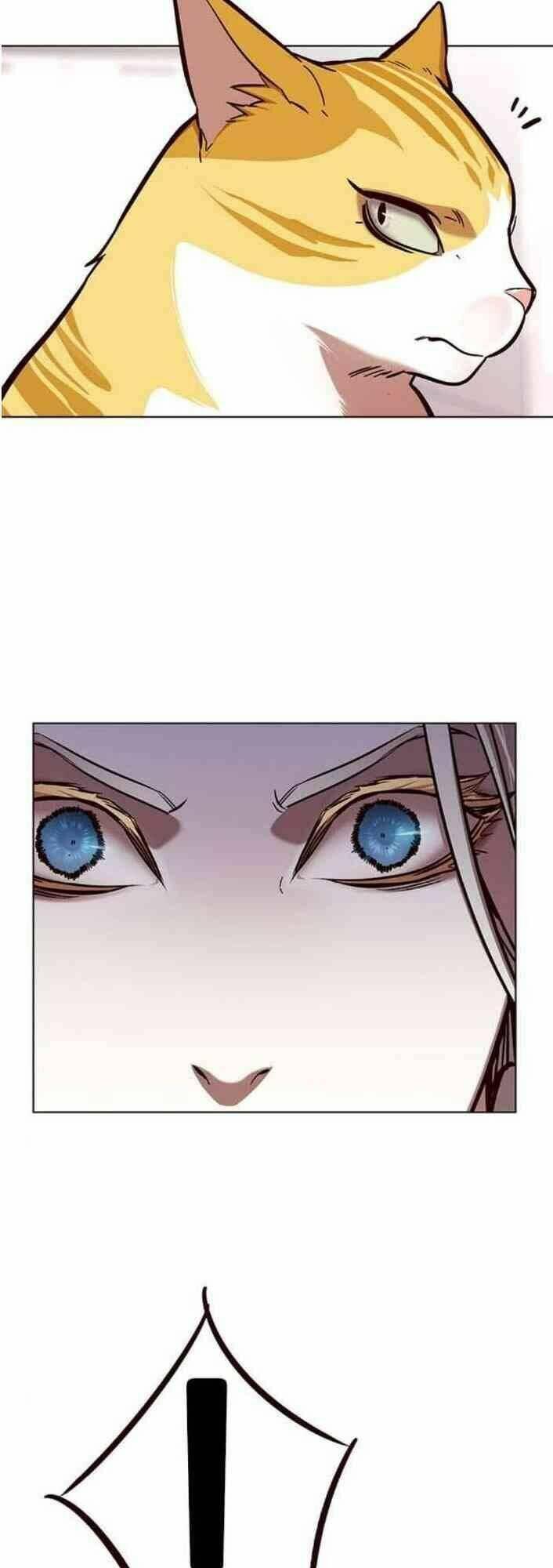biến thân thành mèo chapter 138 74