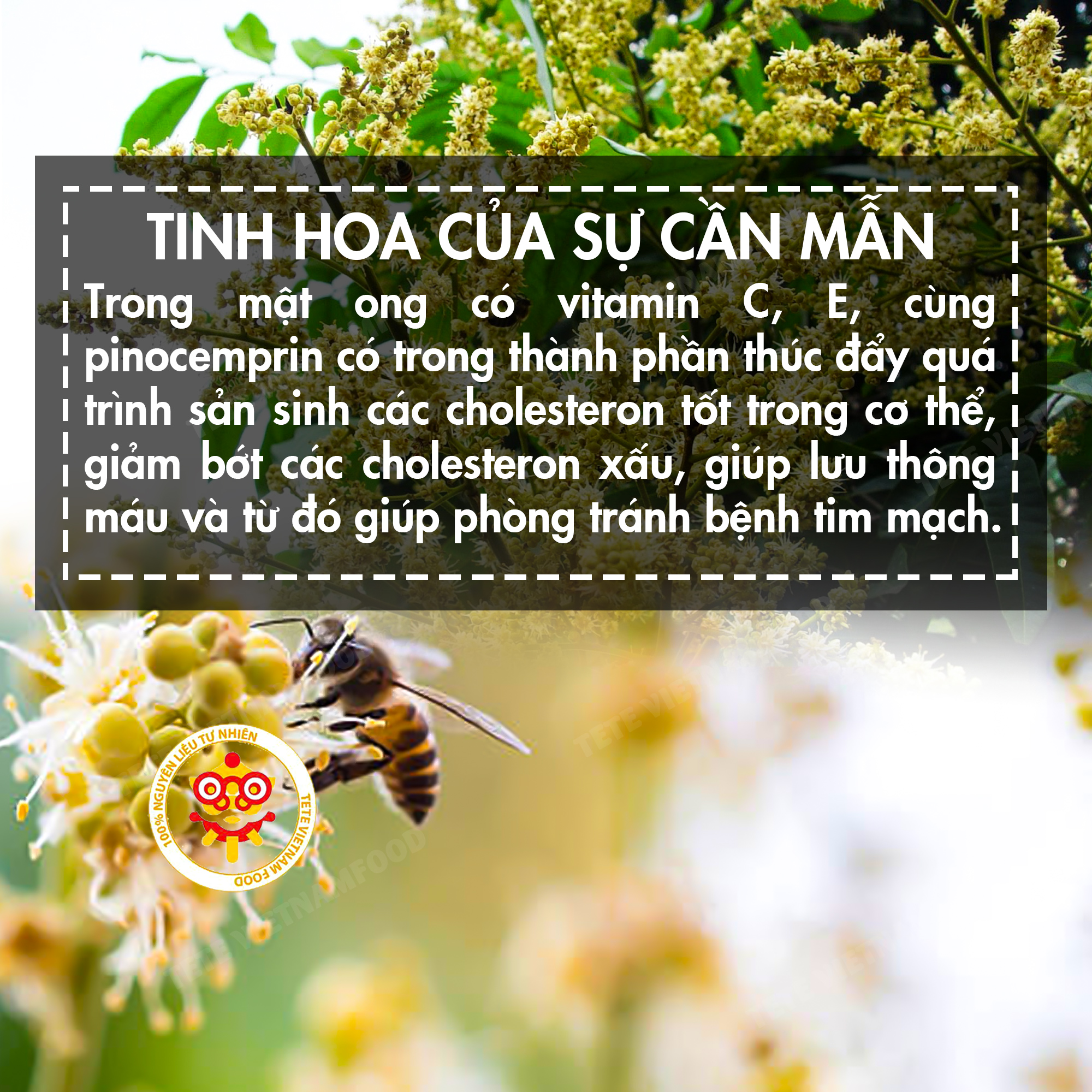 Mật Ong Rừng Hoa Nhãn Daklak TETE 1 LÍT