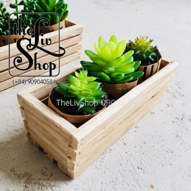 Chậu gỗ trồng cây