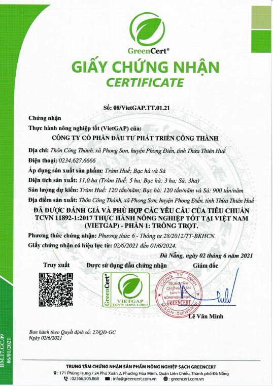 Tinh Dầu Treo Xe Tràm Huế NEO 8ml