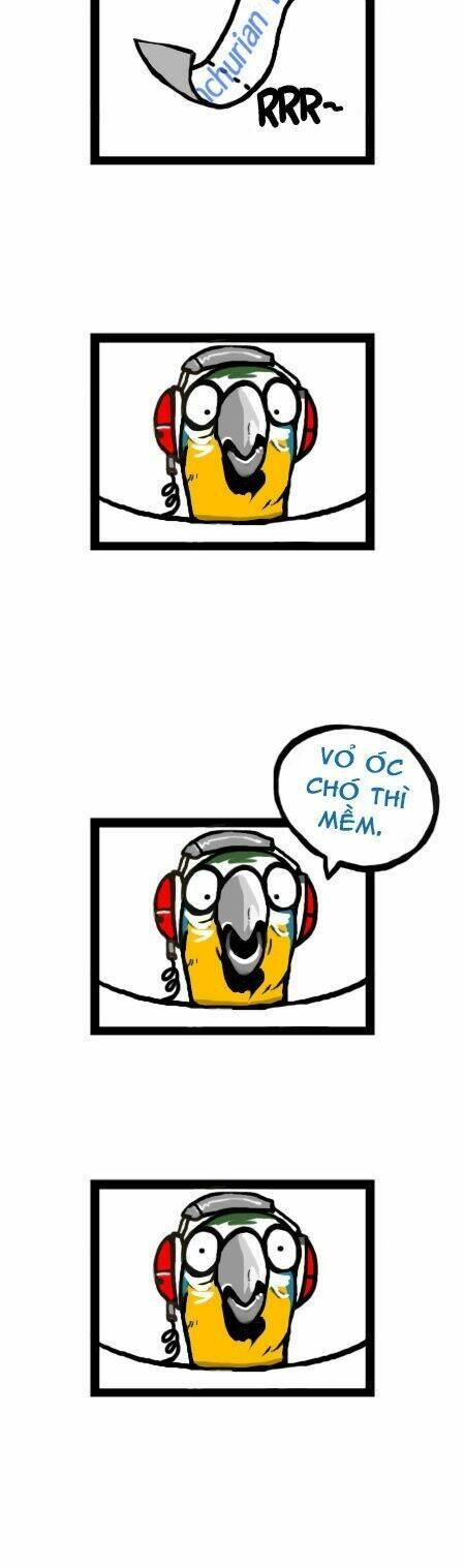 earth, human, and animal chapter 11 12