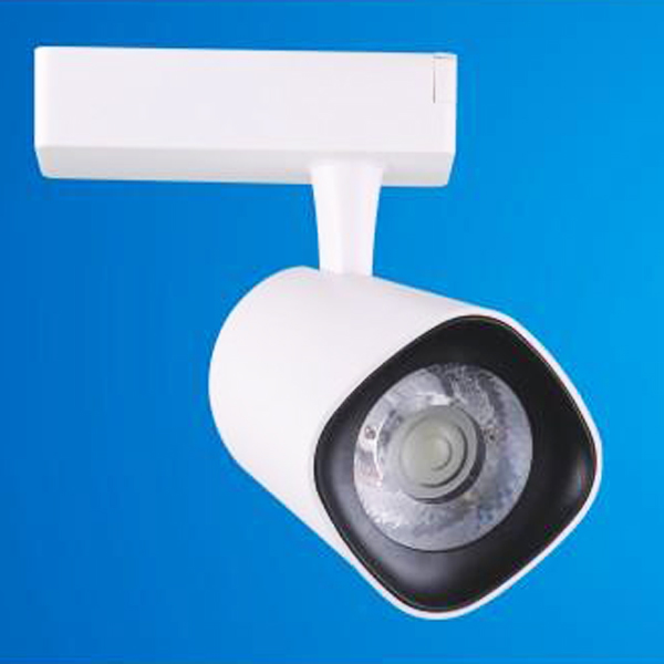 ĐÈN LED CHIẾU ĐIỂM THANH RAY LT20