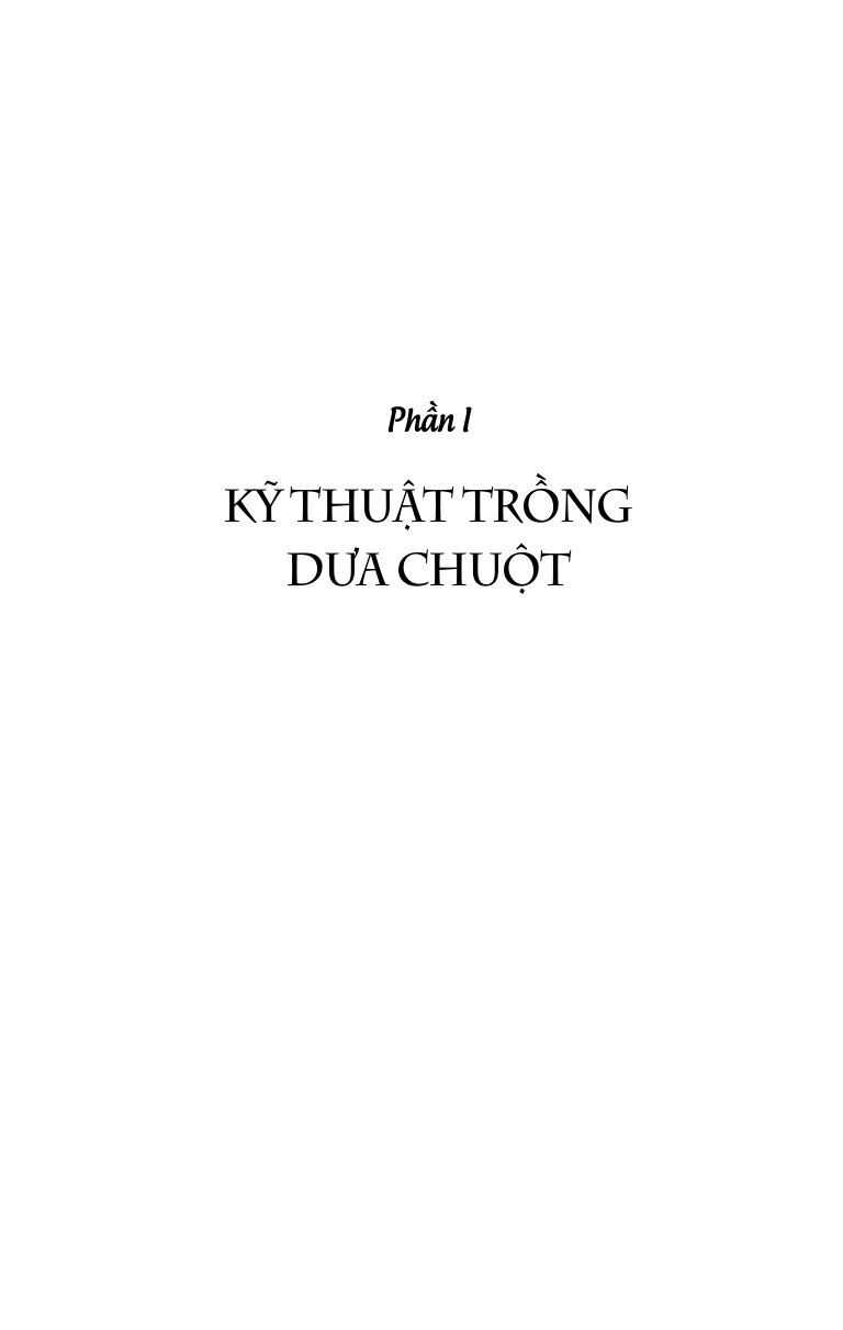 Kỹ Thuật Trồng Trọt Rau Củ Mang Lại Hiệu Quả Kinh Tế Cao