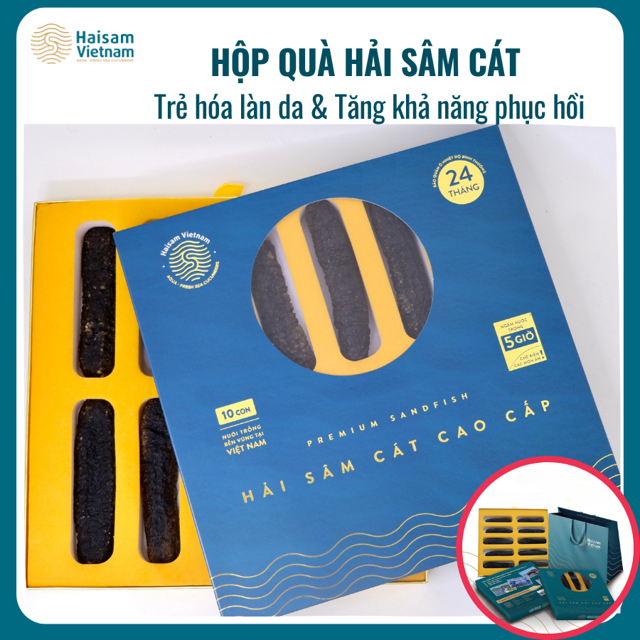 Hộp Quà Hải Sâm Cát - 10 Con Sấy Thăng Hoa- Quà Tặng Sang Trọng Giàu Collage Type 1, Trẻ Hóa Làn Da, Phục Hồi Vết Thương