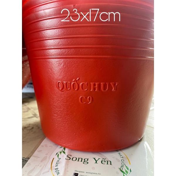 100 chậu nhựa đỏ c9 size 23x17 loại dày