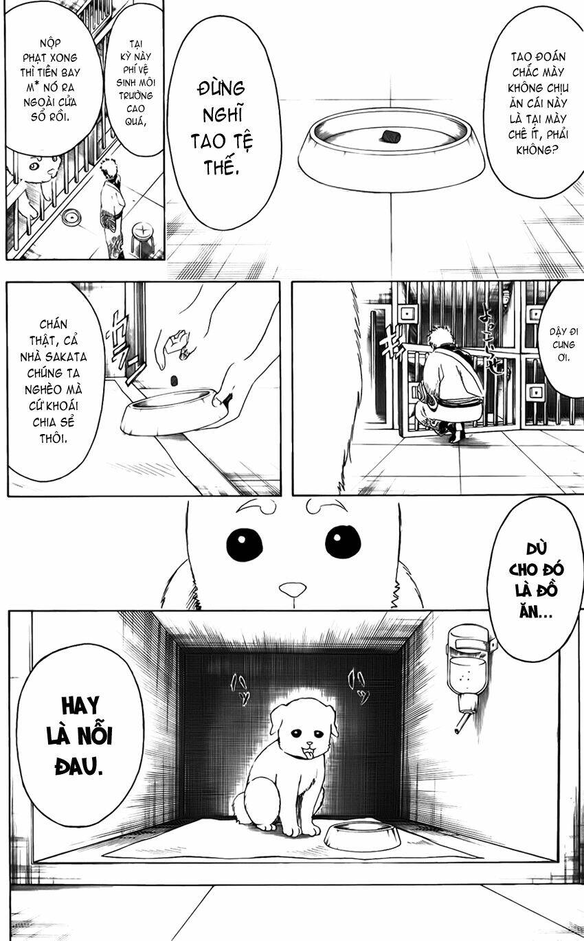 gintama - linh hồn bạc chapter 402 19