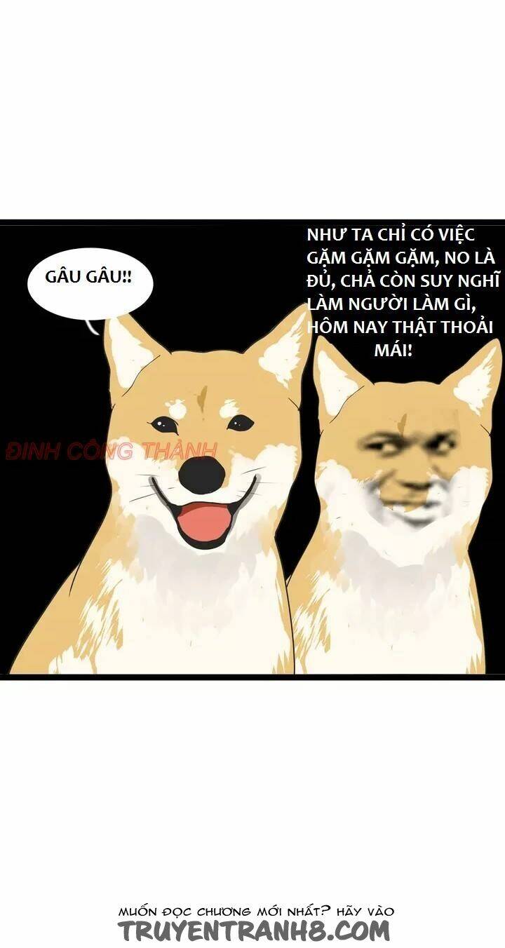 mục vụ chapter 4.2 40