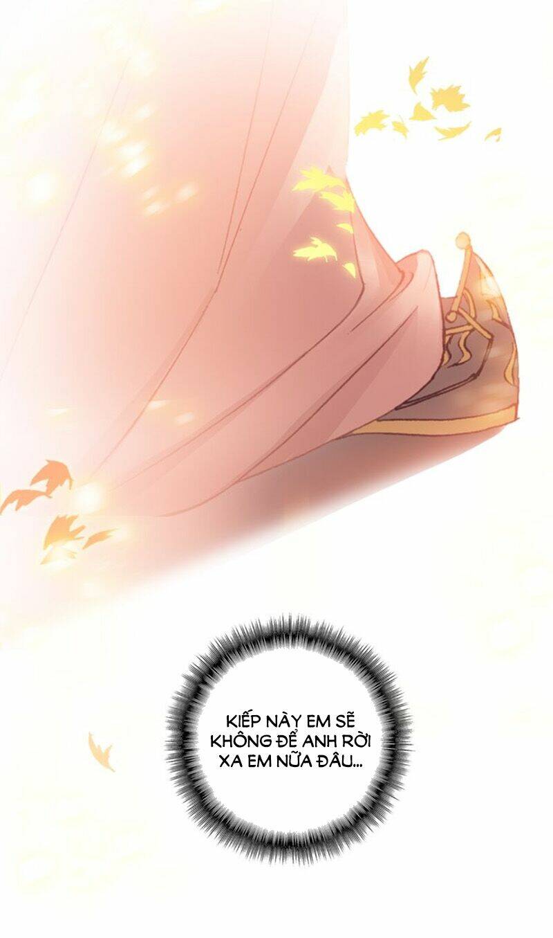 nhất sinh nhất thế mỹ nhân cốt chapter 1 36