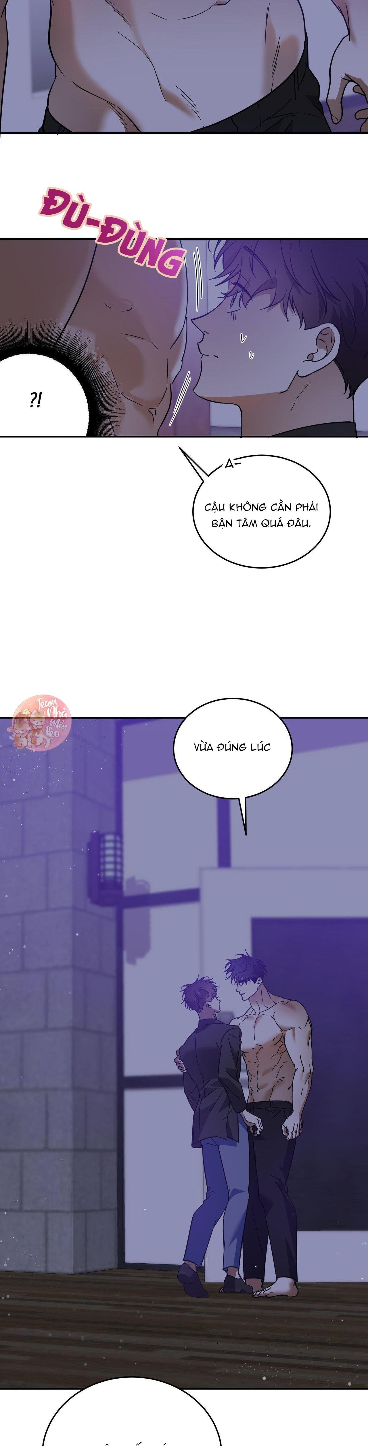 cấp trên chapter 46 27