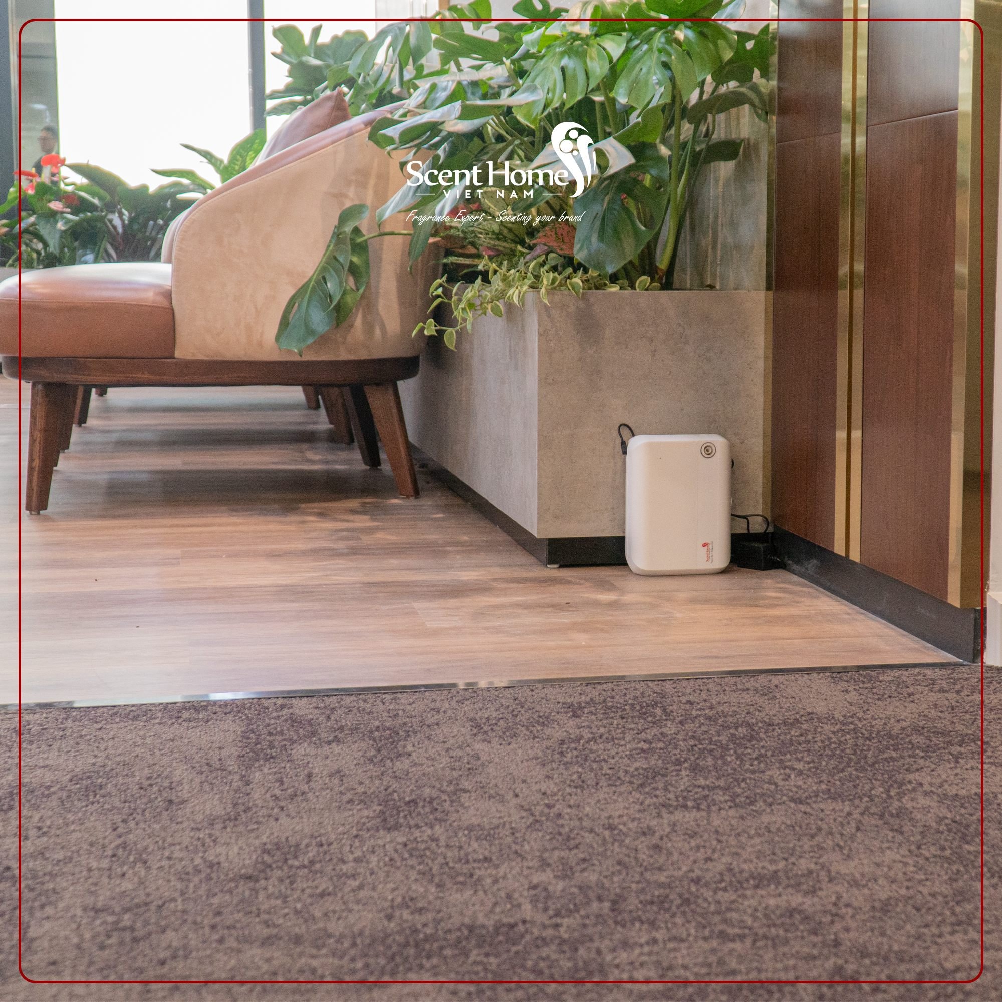 Máy tạo hương thơm cao cấp Scent Homes