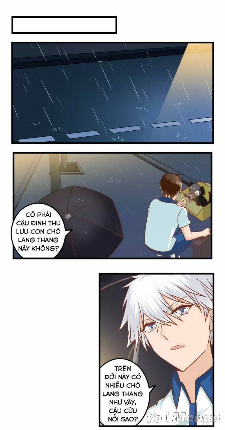 tôi là vợ tôi chapter 84 1