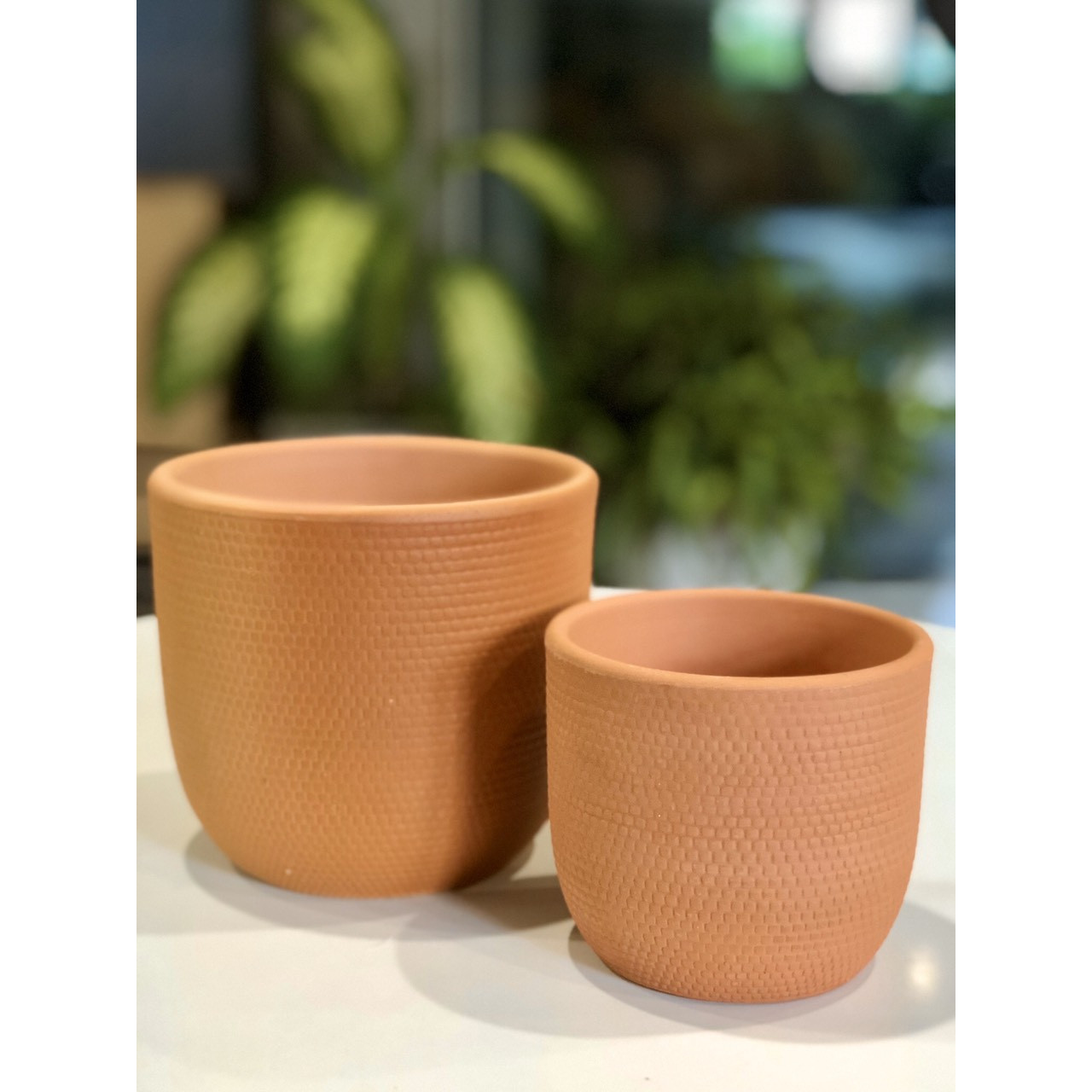 Combo 2 chậu đất nung hình trứng, một chậu trung và một chậu bé.
