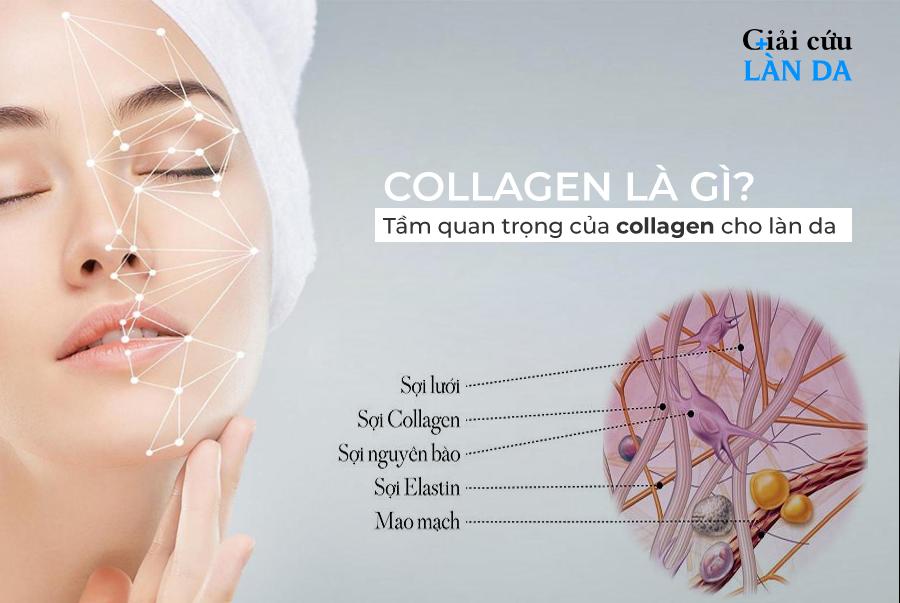 [Freeship Xtra] COLLAGEN Bidanki Green+ Nhật bản (dạng nước): Hấp Thụ Nhanh, Đẹp Da, Giữ Dáng, Hạn Chế Quá Trình Lão Hóa Da