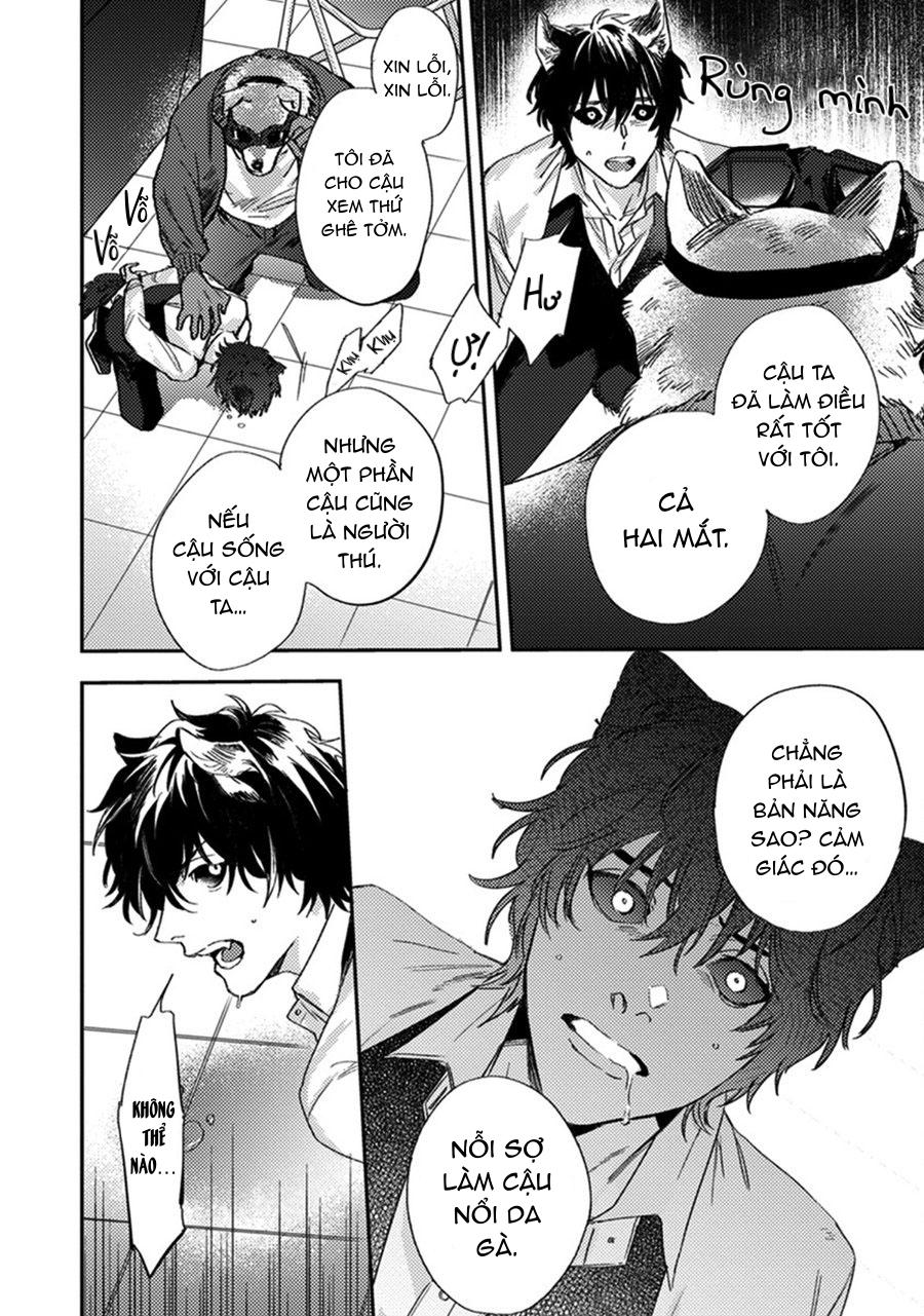 sự rung động thuần khiết chapter 5 19