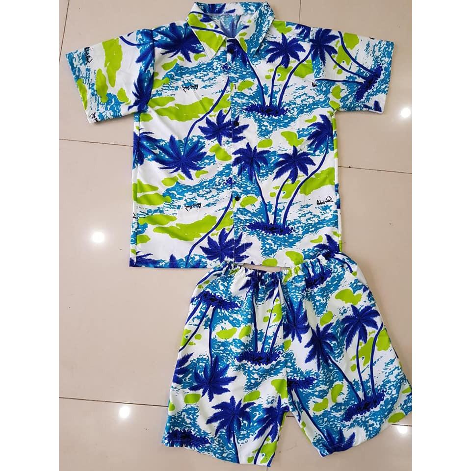 SET BỘ DỪA NỀN TRẮNG THÁI