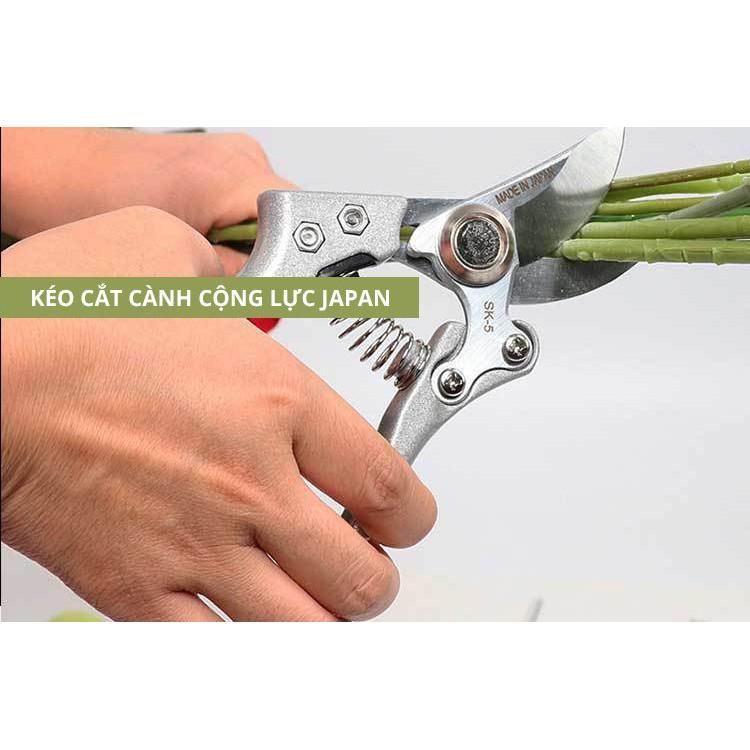 Kéo cắt tỉa cành cây Nhật siêu sắc sk5