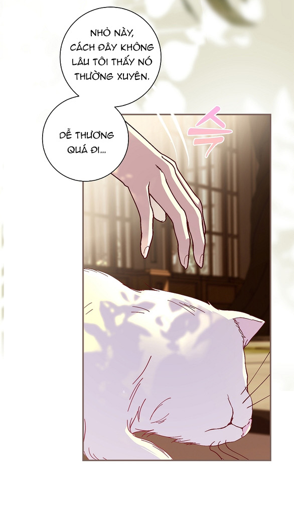 ngài công tước, tôi sẽ làm mọi thứ, trừ việc kết hôn! chapter 9.1 48