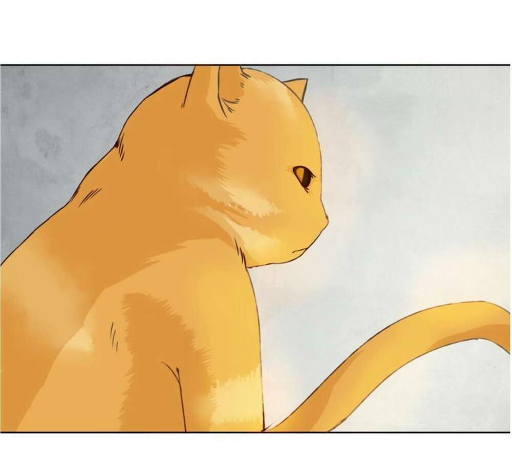 tôi không phải đa nhân cách chapter 11 70