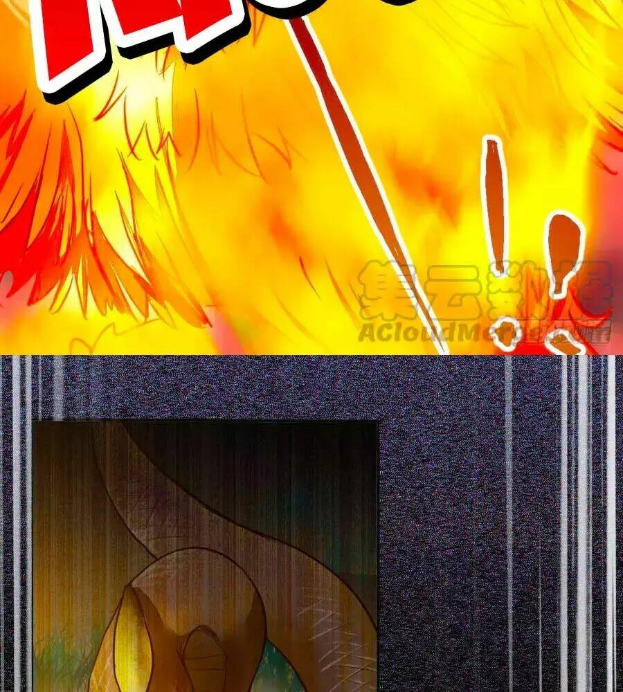 thần y khí nữ: ngự thú cuồng phi của quỷ đế chapter 69 90