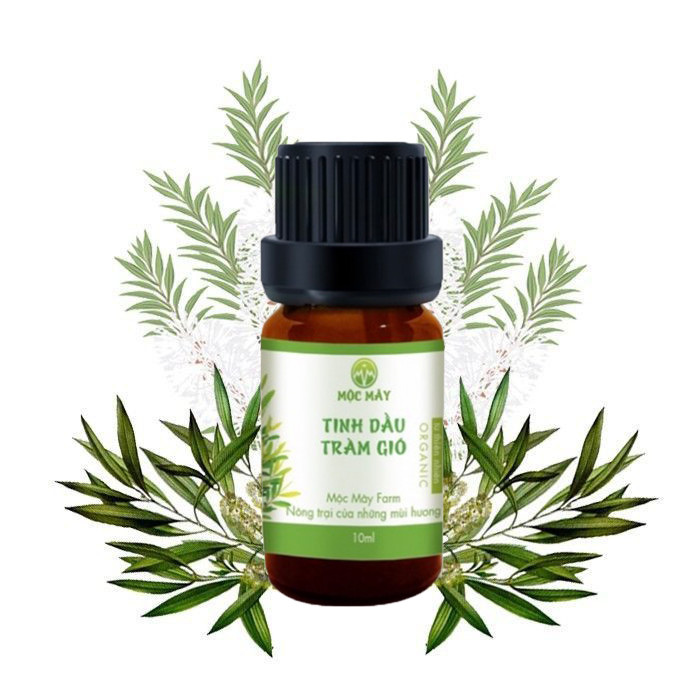 Tinh Dầu Tràm Gió Mộc Mây Chai 10ml