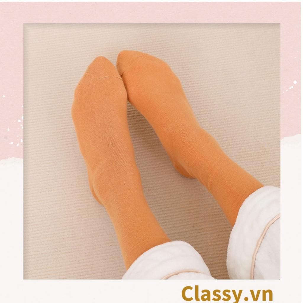 Combo 2 đôi tất cotton cổ cao Classy trơn nhiều màu G1401