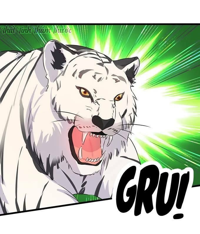 Hắc Đạo Này Có Chút Manh chapter 13 10