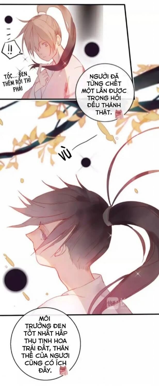 hồ minh chi hương chapter 2 13