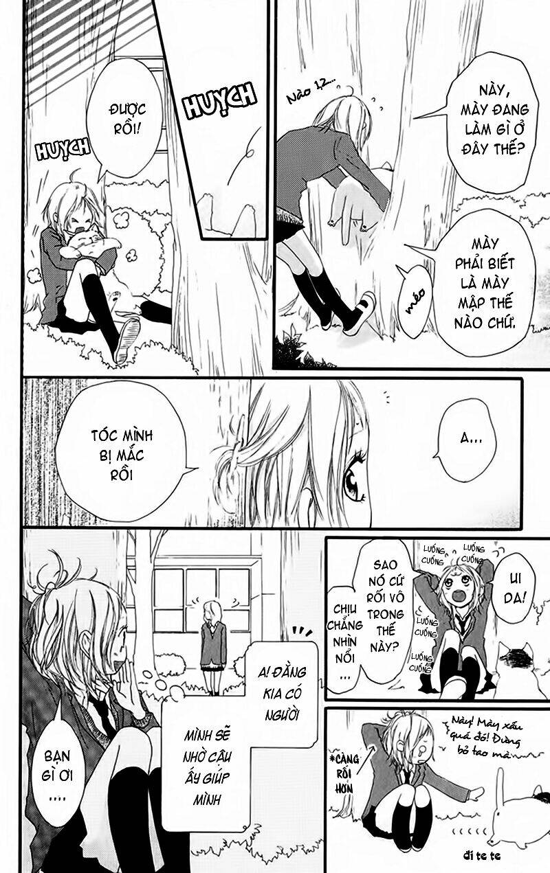 tình yêu học trò chapter 20 18