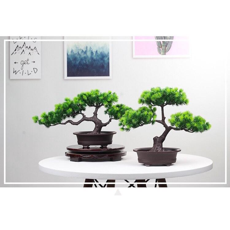 Cây thông giả, chậu cây cảnh bonsai trang trí để bàn, kệ tủ xanh mát tự nhiên CT-03