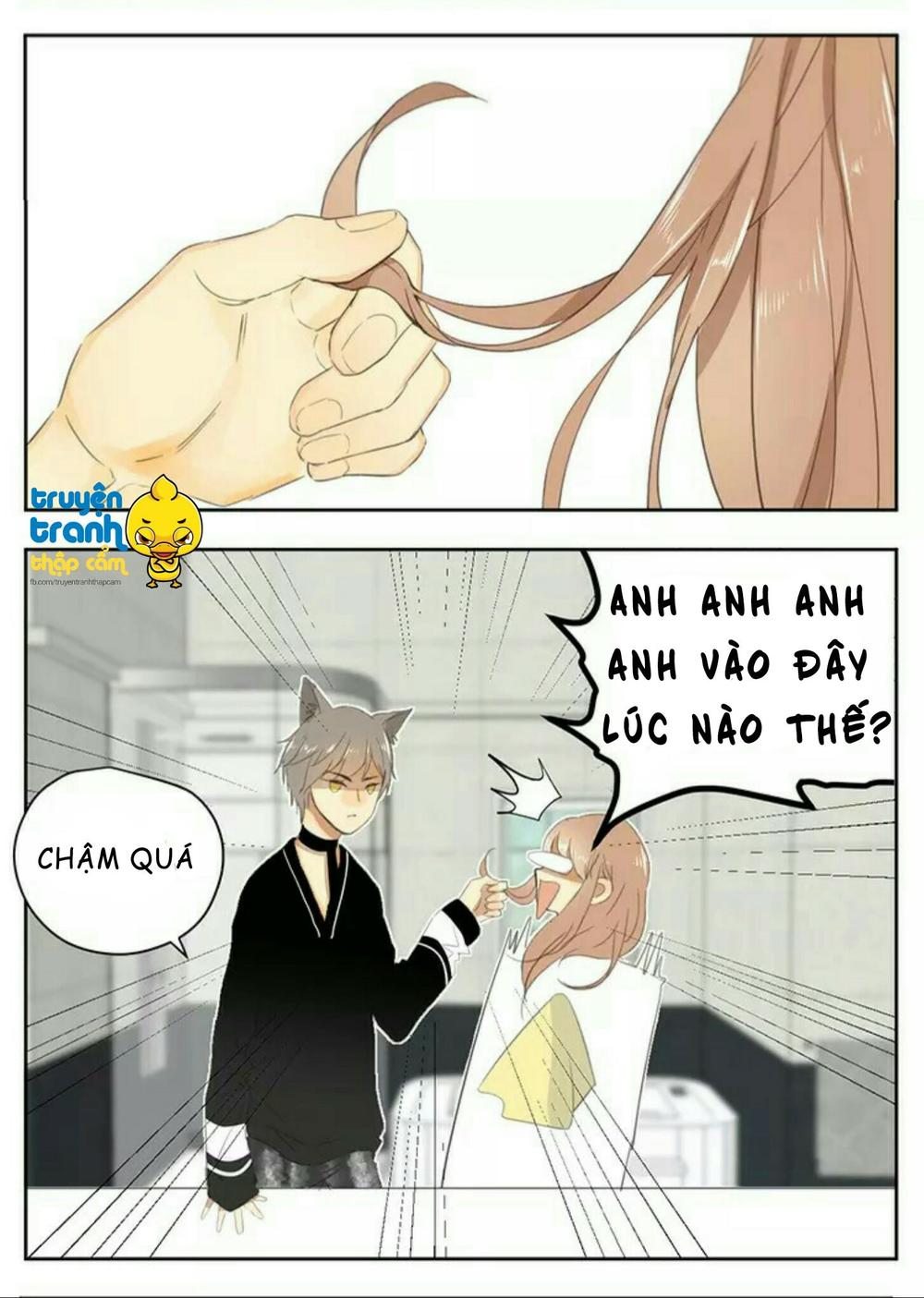 cứu mạng ! loài mèo thống trị thế giới rồi ! chapter 36 18