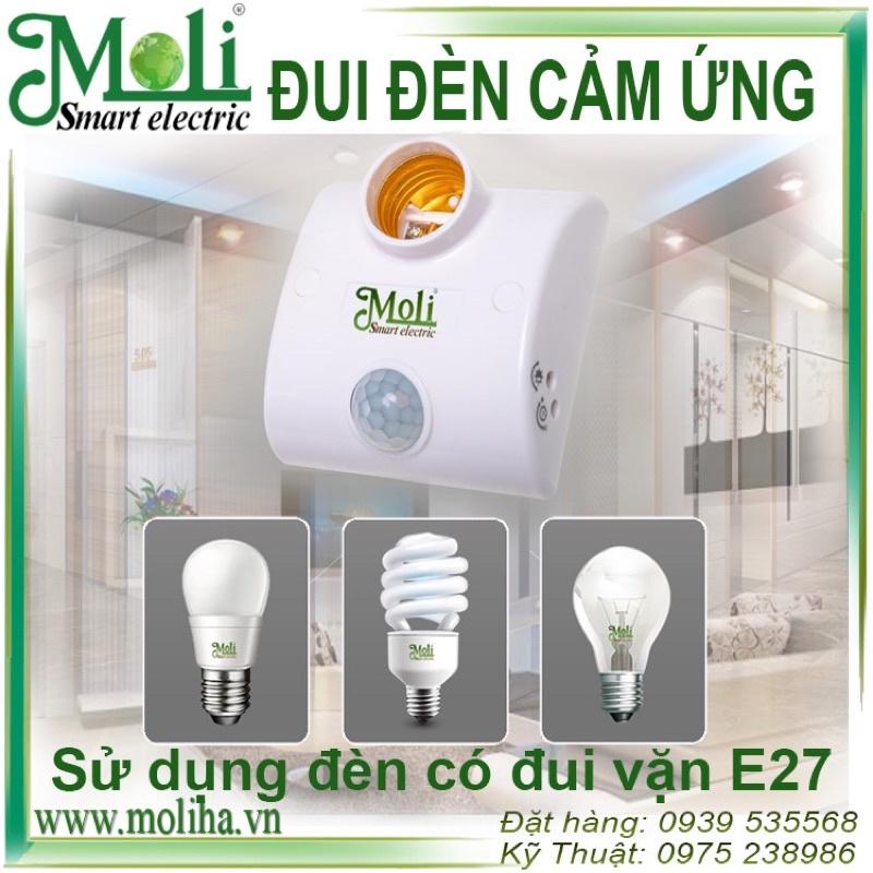 ĐUI ĐÈN CẢM ỨNG MOLI