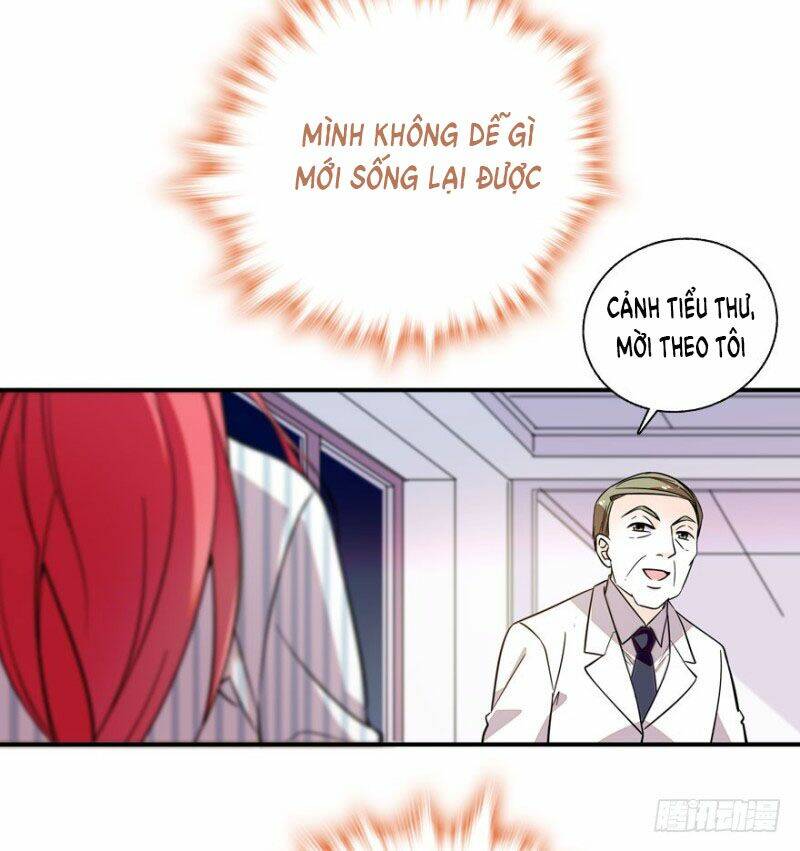 bảo bối v5 boss vội vàng cưng chiều chapter 2 40