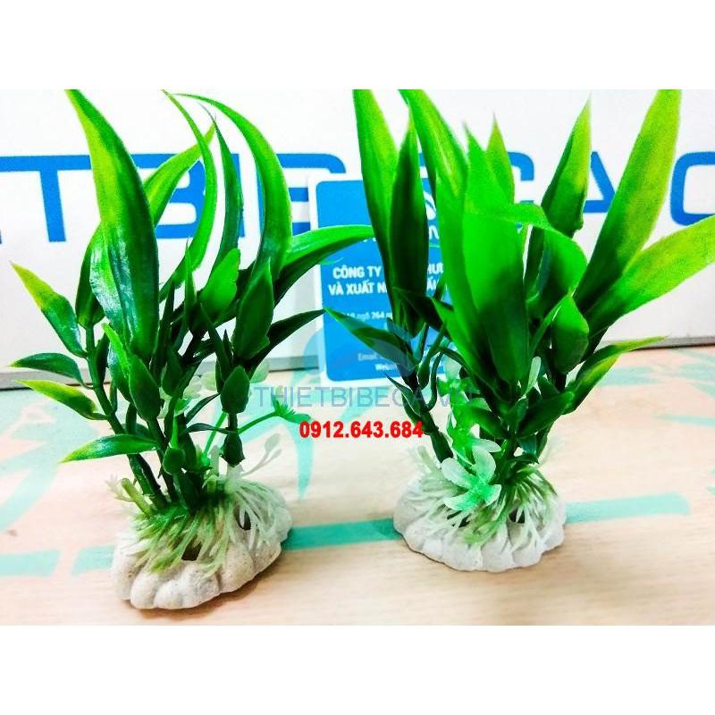 Combo 5 cây nhựa thấp ̣