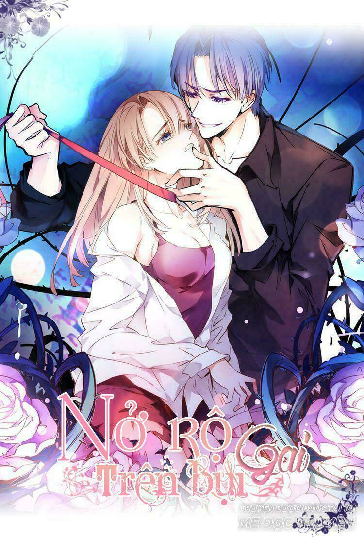 nở rộ trên bụi gai chapter 1 12
