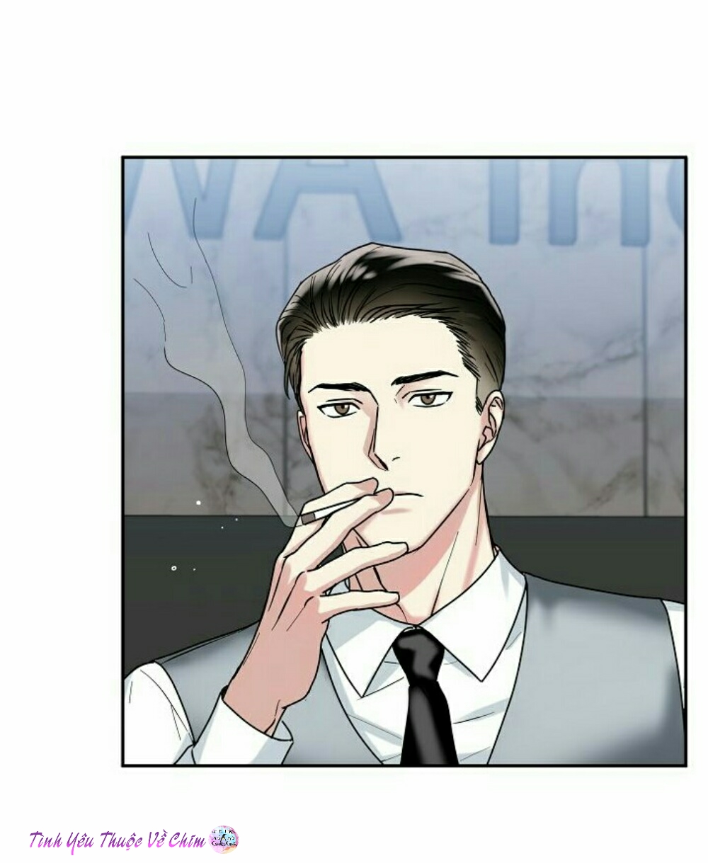 đối tác an toàn chapter 1 5