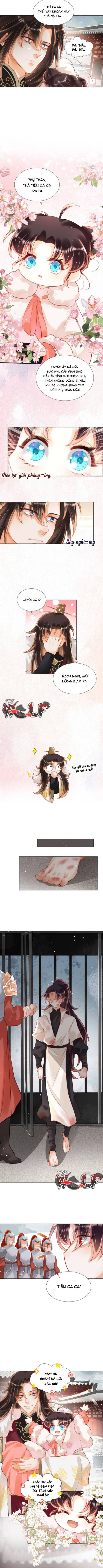tiểu tâm can của phụ thân bạo quân chapter 2 4