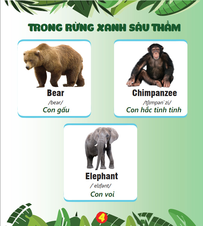 Combo 5 Cuốn My First Books - Cuốn Sách Đầu Tiên Của Bé Tặng Phương Pháp Nuôi Dạy Con Thành Tài Của Cha Mẹ Nhật
