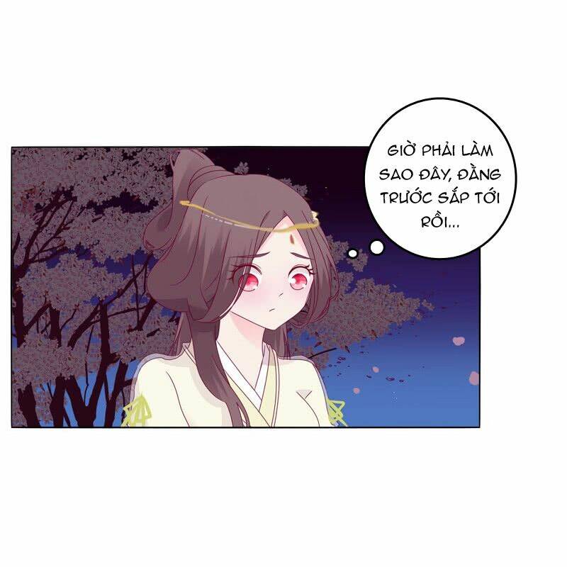 tướng quân mời ra trận chapter 19 5