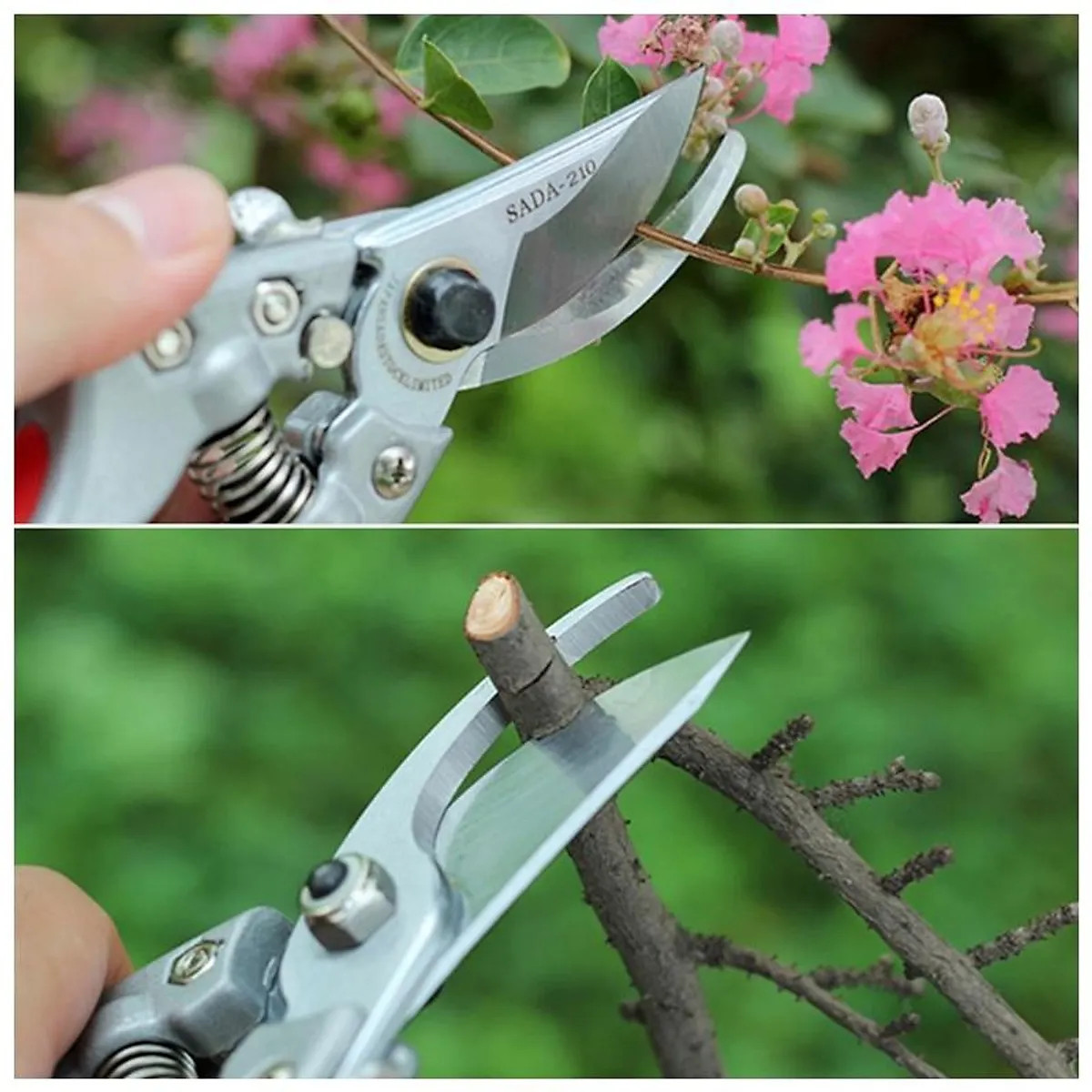KÉO CẮT CÂY TỈA CÀNH BẰNG THÉP CAO CẤP NHẬT BẢN TẶNG KÈM LÒ SO THAY THẾ SADA 210