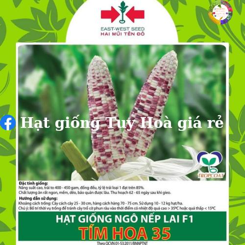 Hạt giống bắp nếp lai F1 tím hoa 35 gói 500 gram