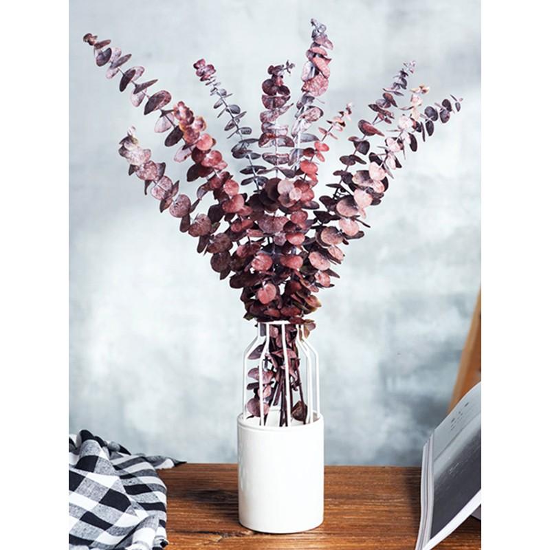 Hoa trang trí, decor phòng - Preserved Frosted Natural Eucalyptus – Lá bạch đàn