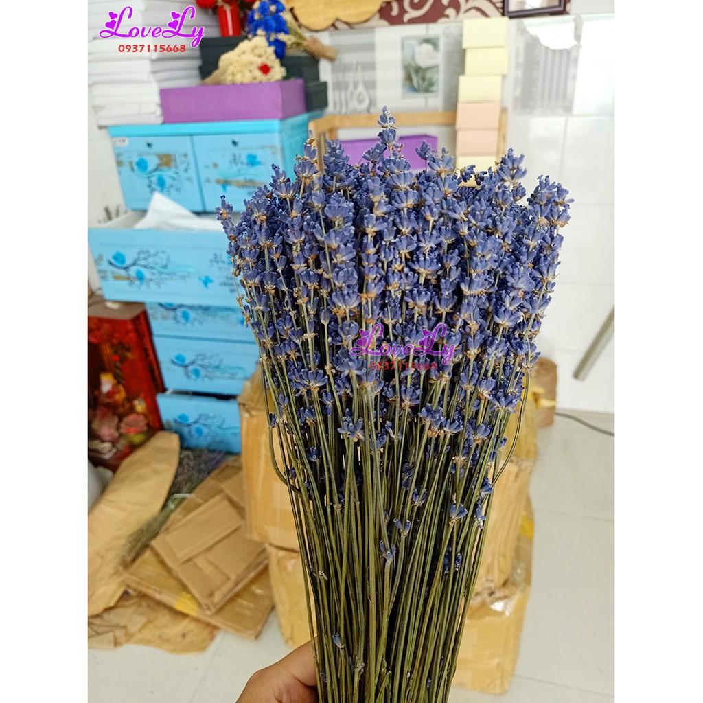 Bó hoa oải hương Lavender khô nhập Pháp 200 cành Tặng Túi Thơm Nụ Hoa Lavender