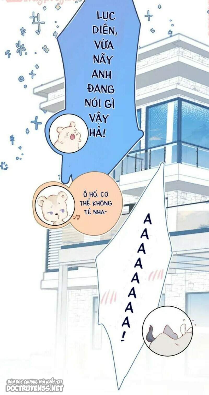 bảo vệ siêu sao của tôi chapter 133 12