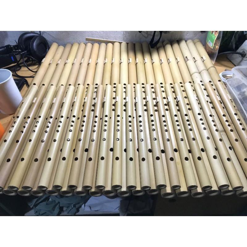 Sáo Mèo Nữ - Nứa Nam Và Trúc Bạch