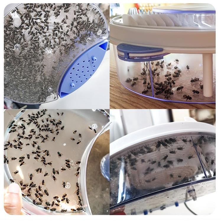 Máy Bắt Ruồi Tự Động Thông Minh, Máy Bắt Ruồi Chạy Điện Không Dùng Hóa ChấtMáy bắt ruồi, máy bắt ruồi bằng điện, máy bắt