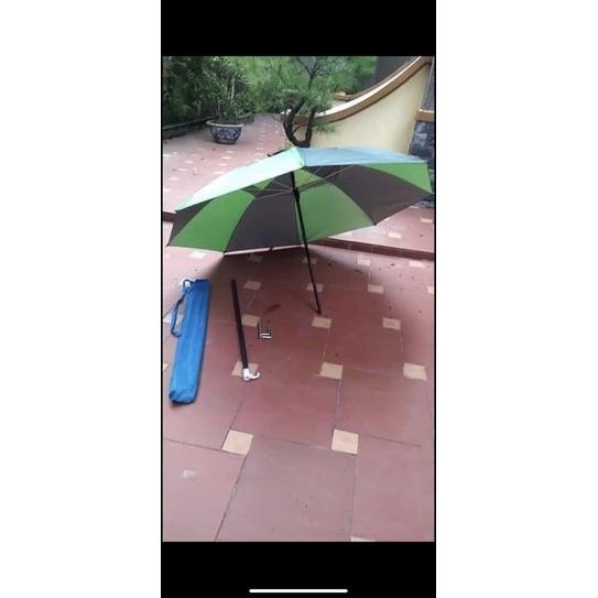 Ô Câu Cá Siêu Rẻ